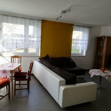 Ferienwohnung, Monteurwohnung Grossrohrsdorf Εξωτερικό φωτογραφία